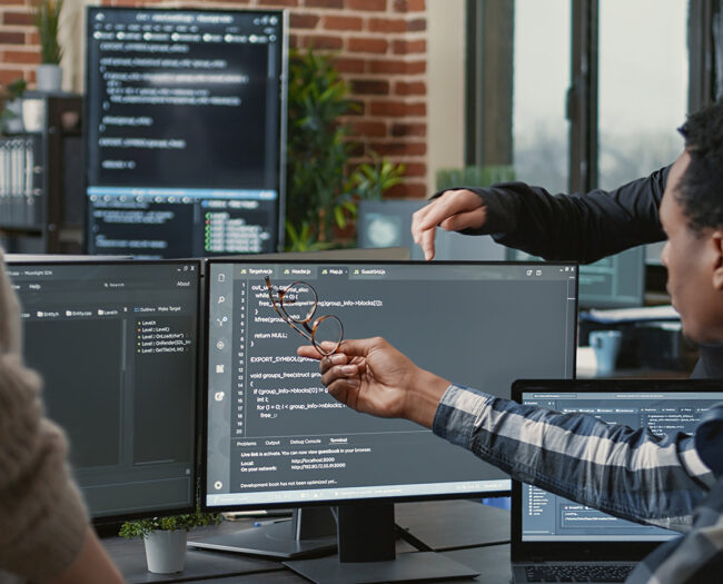 people working with software development
