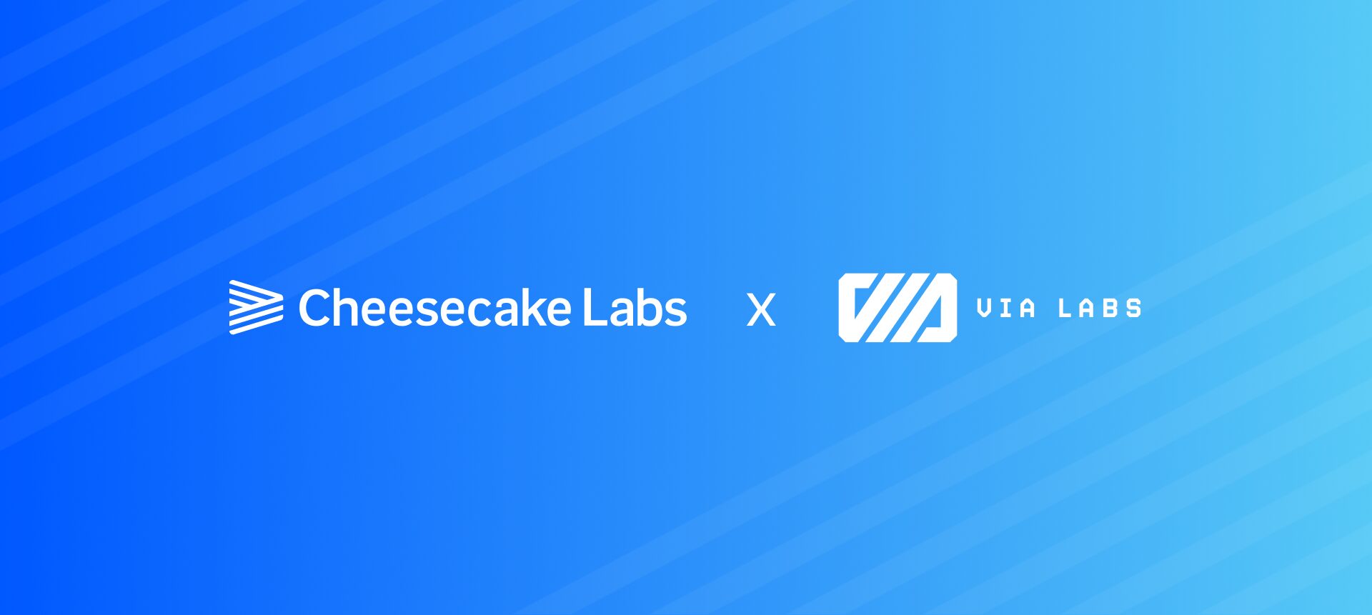 via labs and cheesecake labs partnership