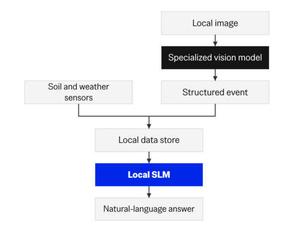 slm-edge-06-farm-vision-composition | | Cheesecake Labs